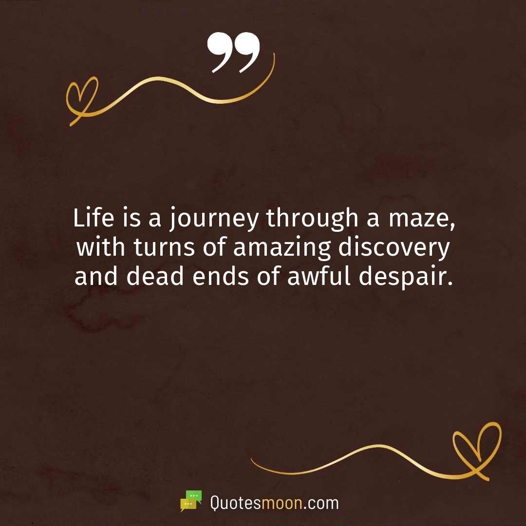 Life is a journey through a maze, with turns of amazing discovery and dead ends of awful despair.