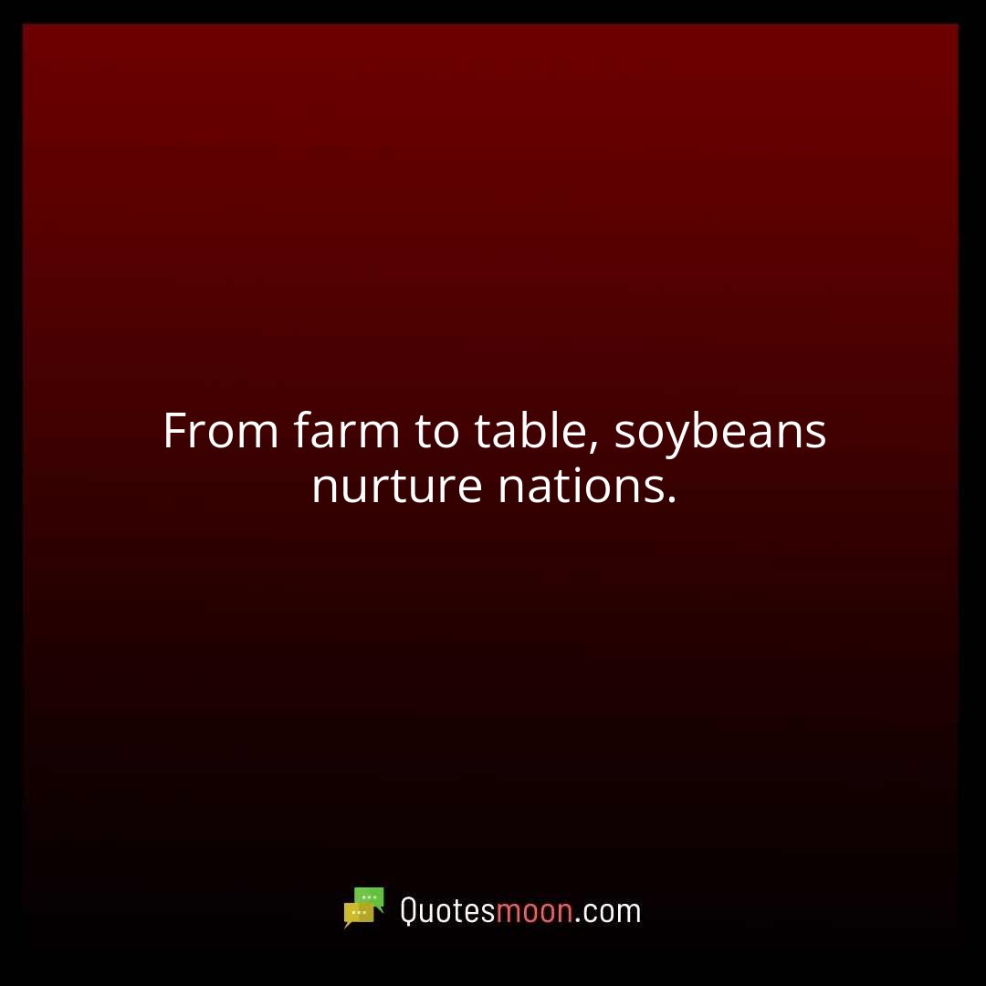 From farm to table, soybeans nurture nations.