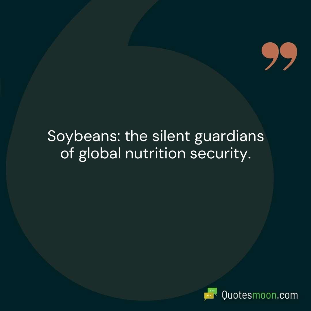 Soybeans: the silent guardians of global nutrition security.