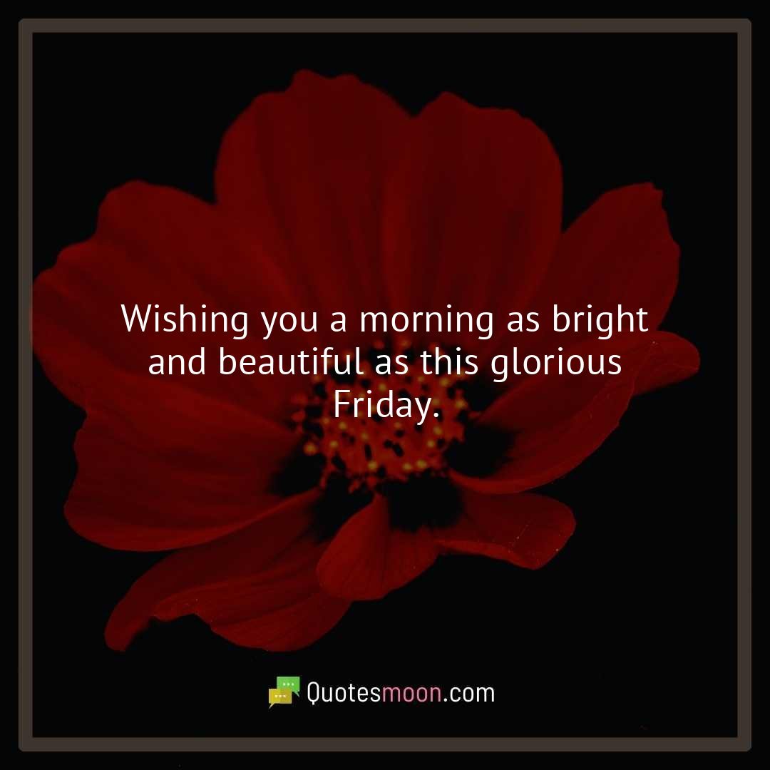 Wishing you a morning as bright and beautiful as this glorious Friday.