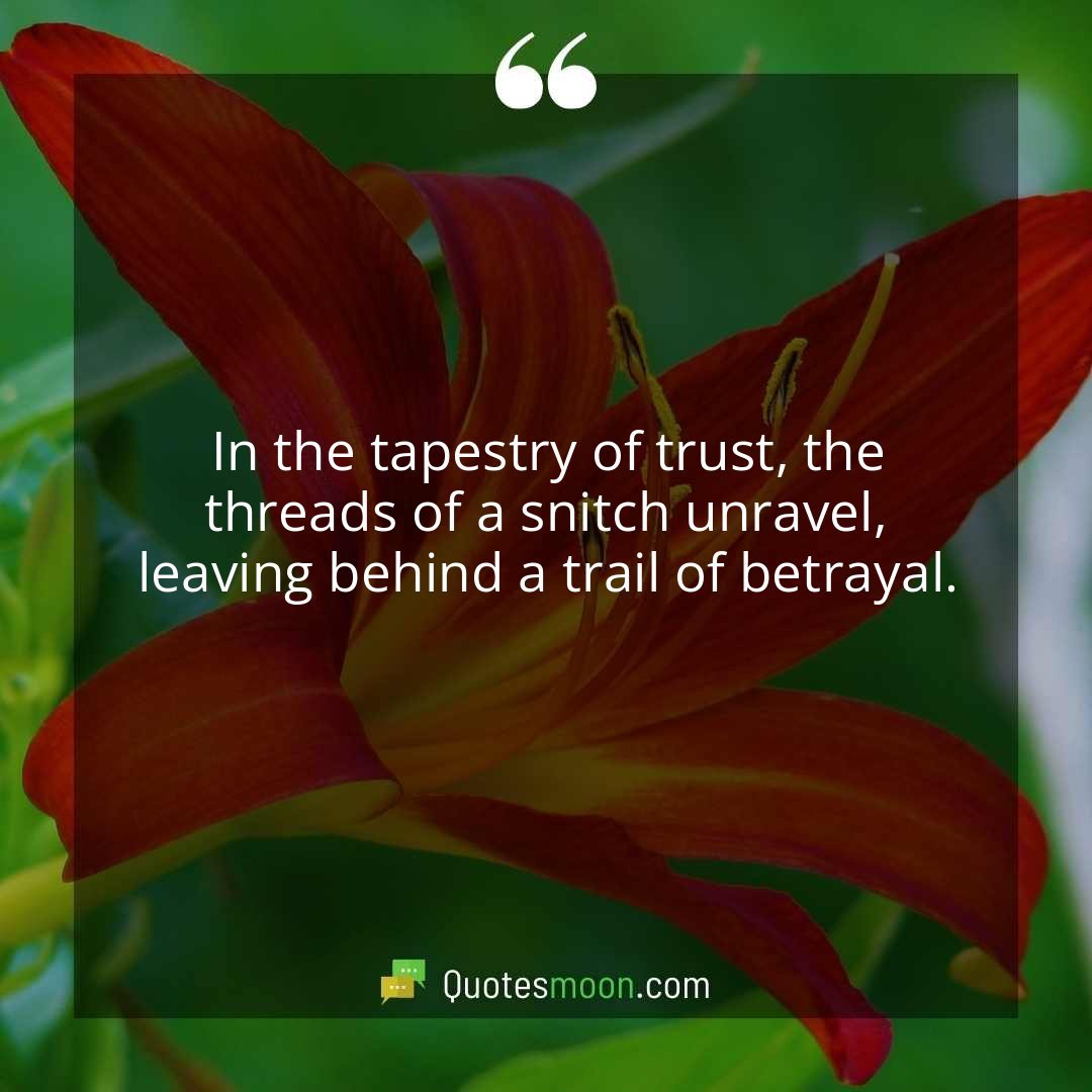 In the tapestry of trust, the threads of a snitch unravel, leaving behind a trail of betrayal.