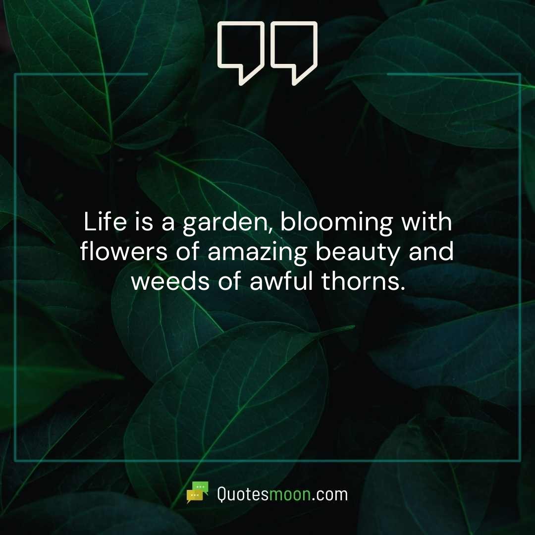 Life is a garden, blooming with flowers of amazing beauty and weeds of awful thorns.