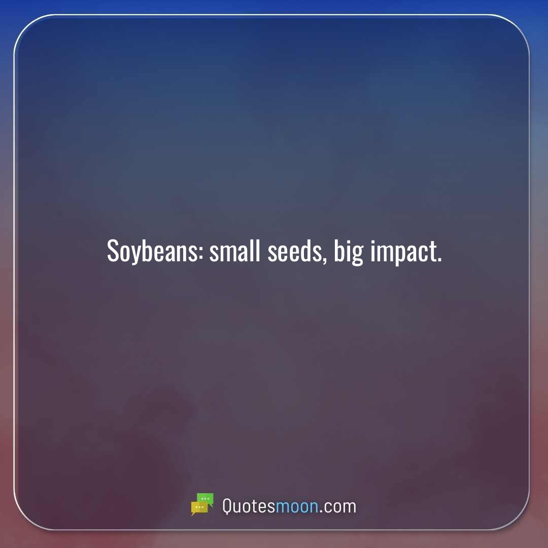 Soybeans: small seeds, big impact.