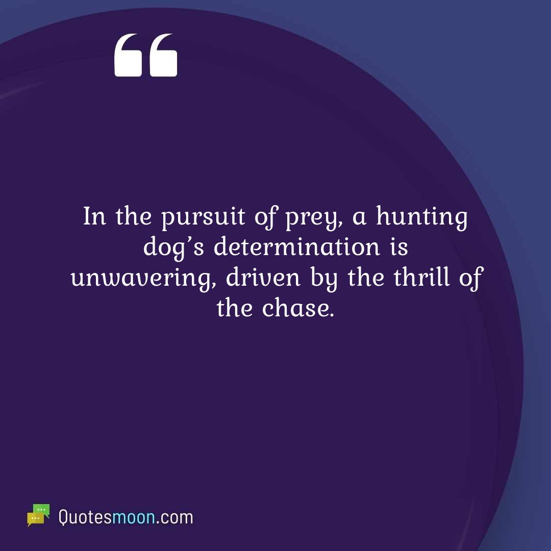 In the pursuit of prey, a hunting dog’s determination is unwavering, driven by the thrill of the chase.