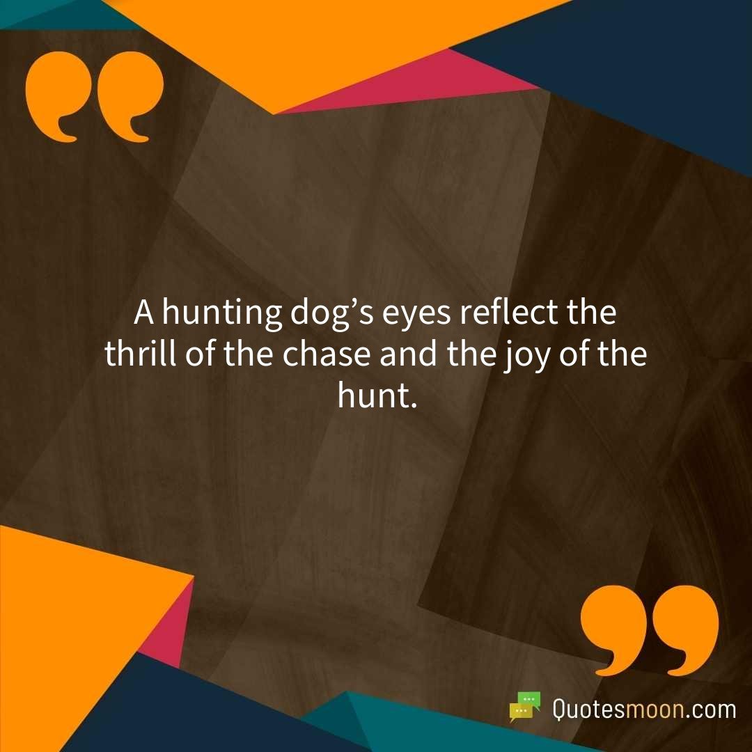A hunting dog’s eyes reflect the thrill of the chase and the joy of the hunt.