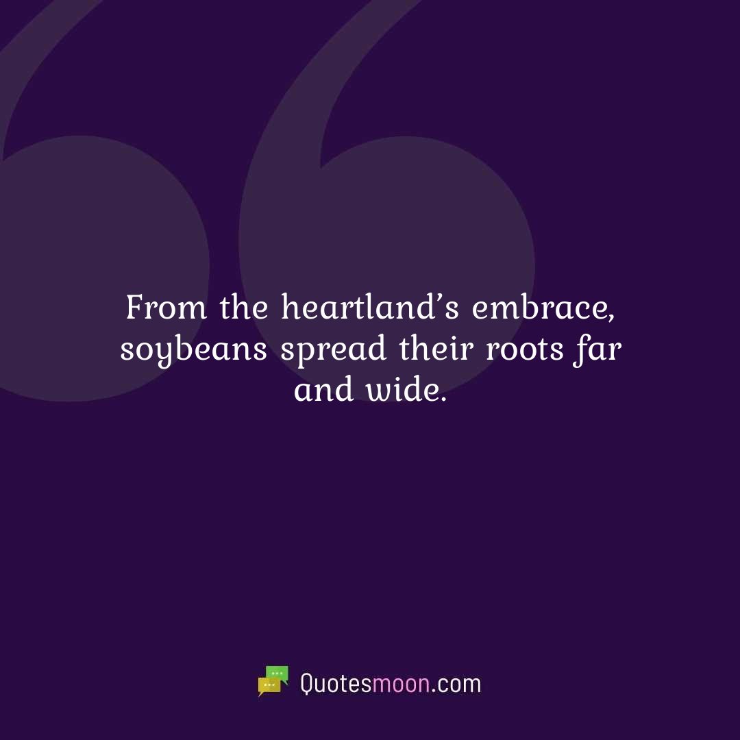 From the heartland’s embrace, soybeans spread their roots far and wide.