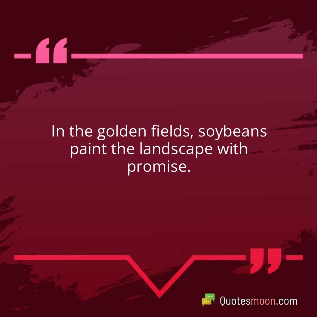 In the golden fields, soybeans paint the landscape with promise.