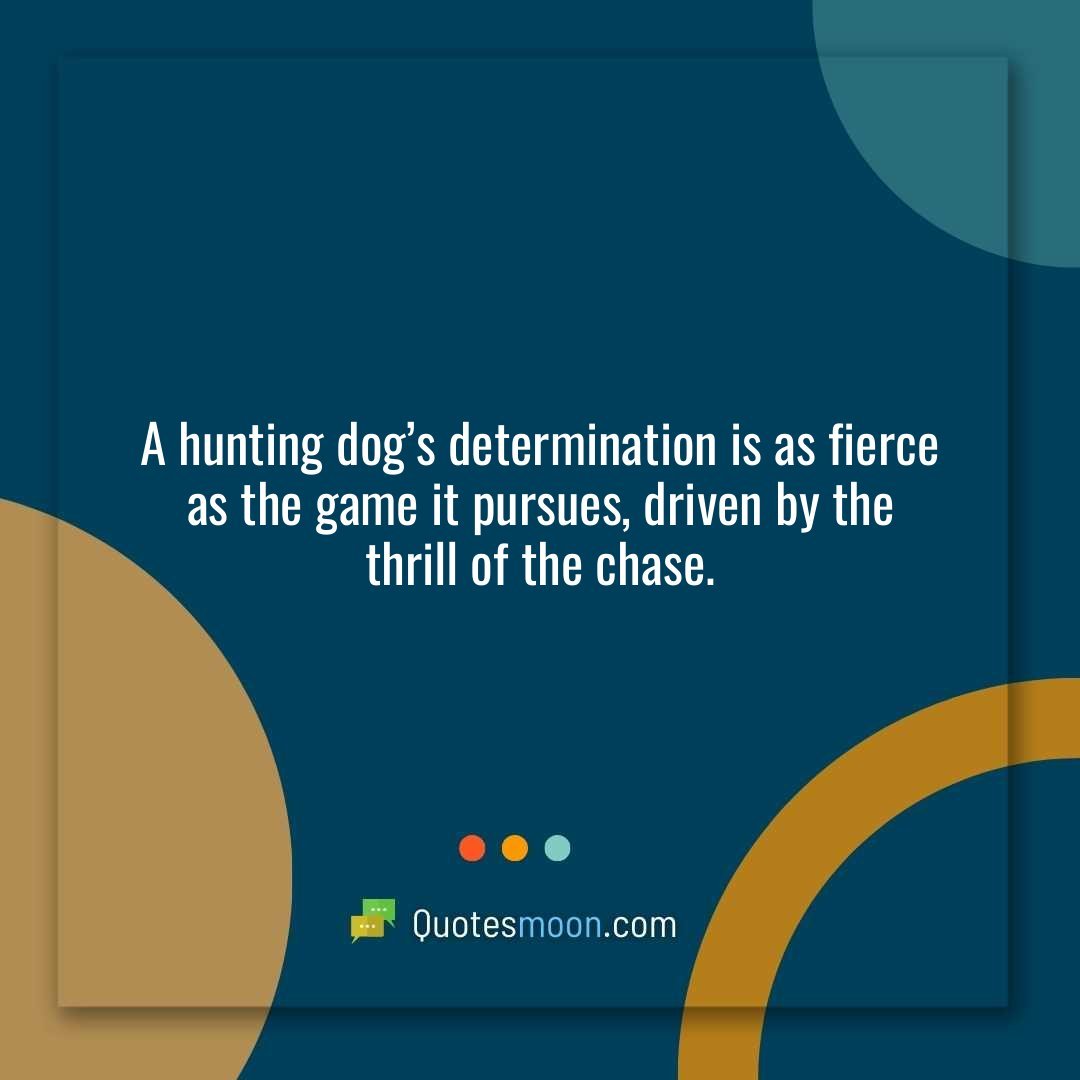 A hunting dog’s determination is as fierce as the game it pursues, driven by the thrill of the chase.