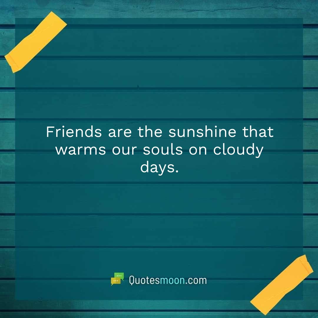 Friends are the sunshine that warms our souls on cloudy days.
