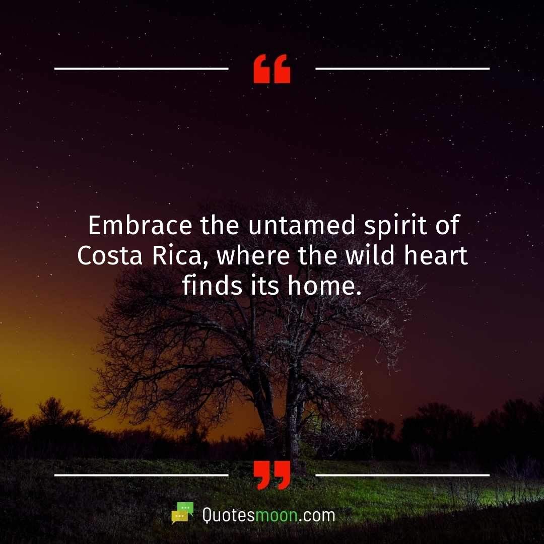 Embrace the untamed spirit of Costa Rica, where the wild heart finds its home.