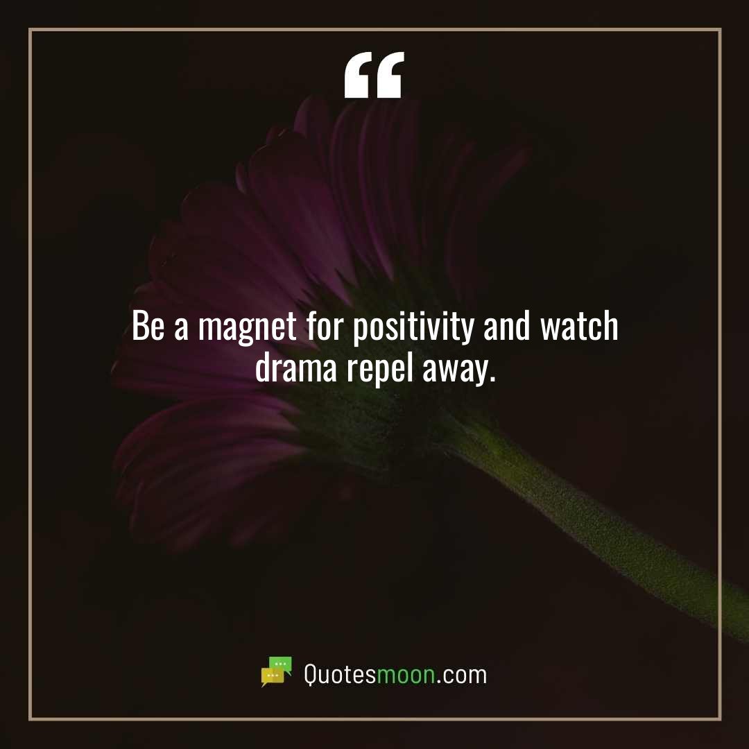 Be a magnet for positivity and watch drama repel away.