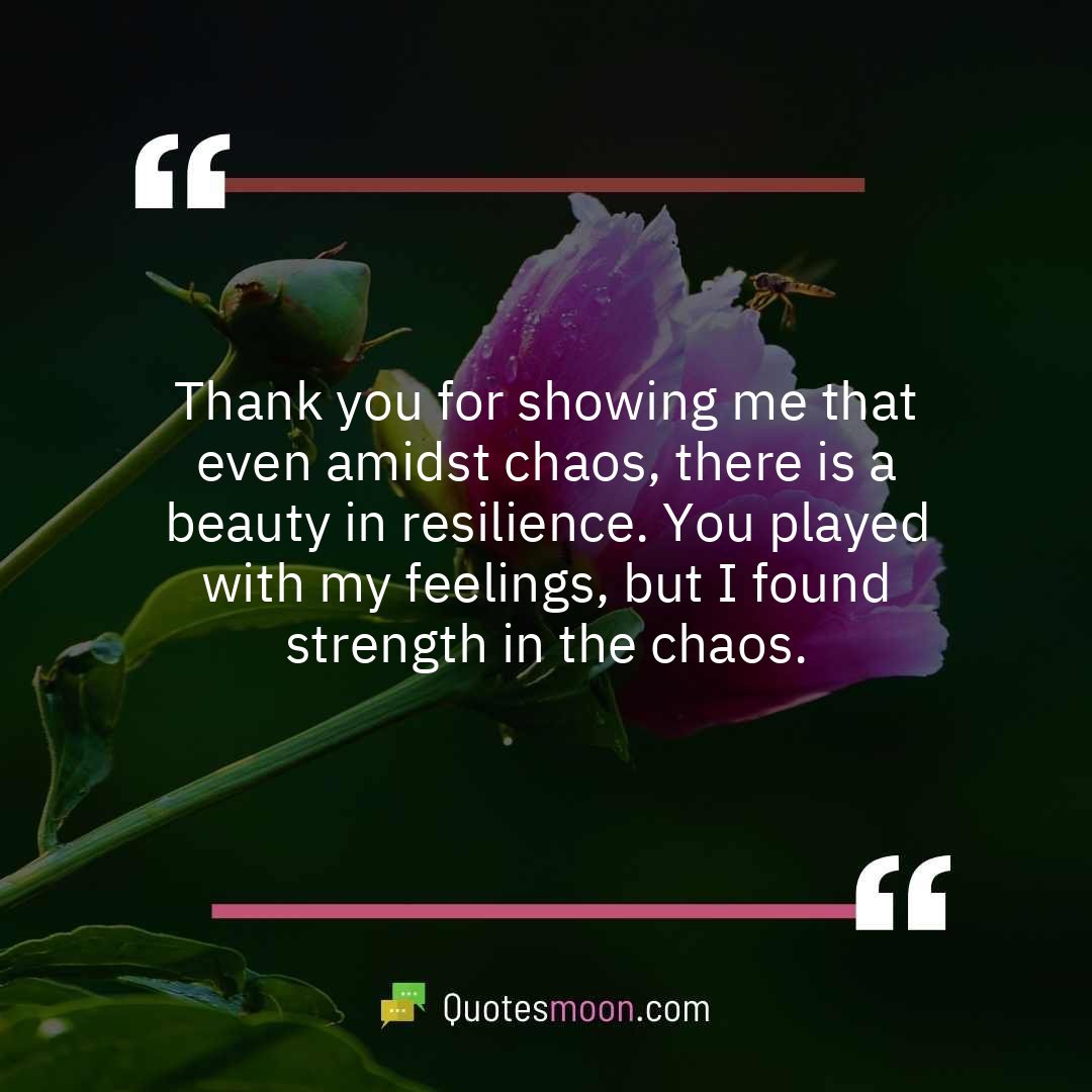 Thank you for showing me that even amidst chaos, there is a beauty in resilience. You played with my feelings, but I found strength in the chaos.