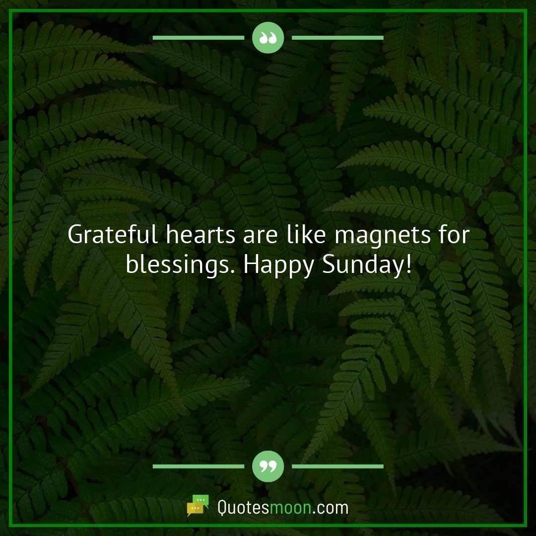 Grateful hearts are like magnets for blessings. Happy Sunday!