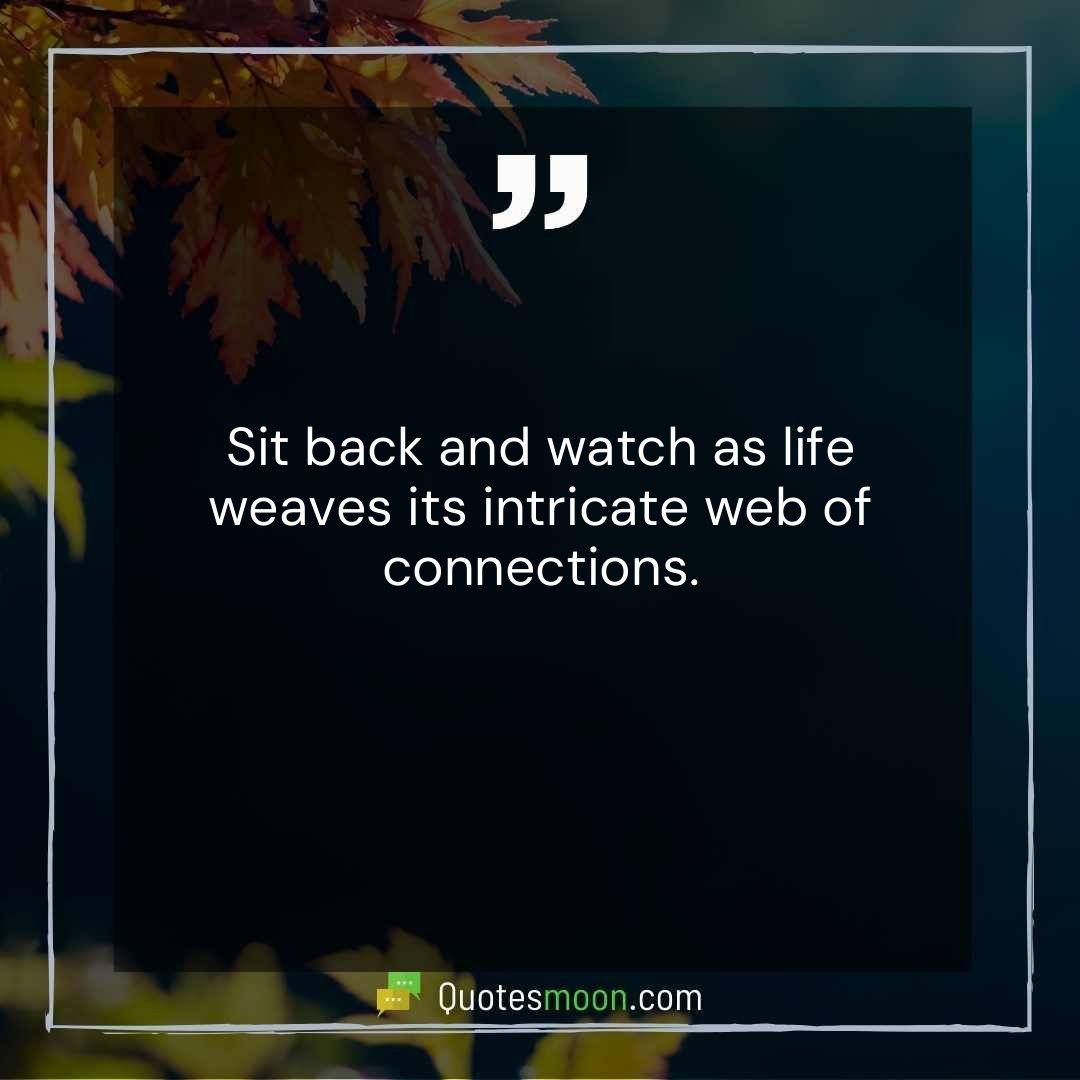 Sit back and watch as life weaves its intricate web of connections.