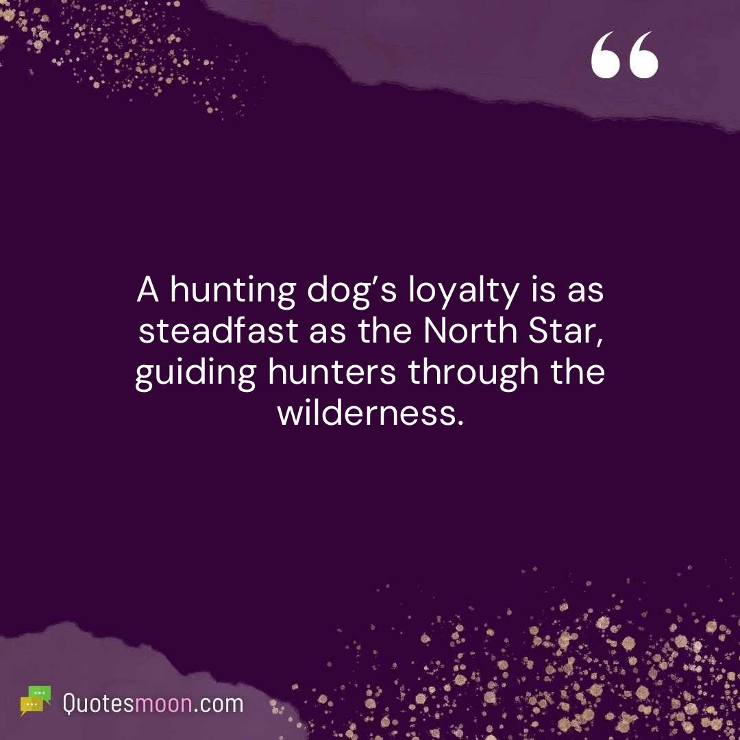 A hunting dog’s loyalty is as steadfast as the North Star, guiding hunters through the wilderness.