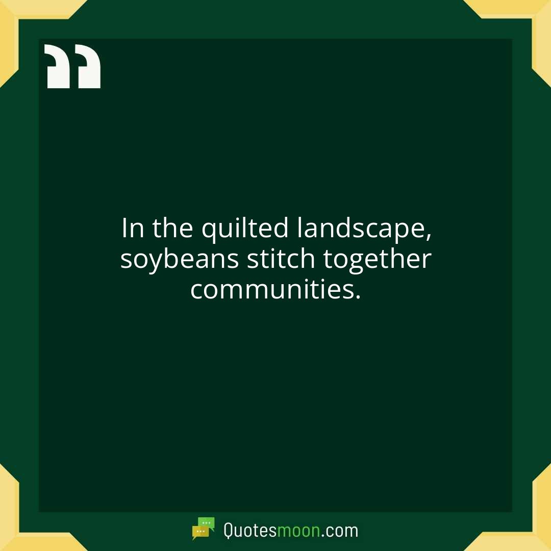 In the quilted landscape, soybeans stitch together communities.