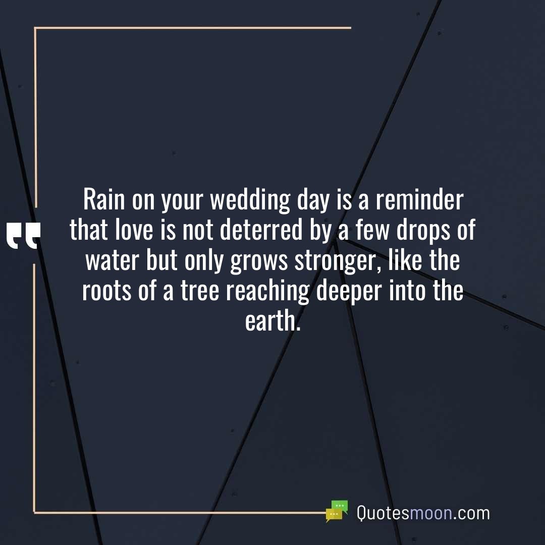 Rain on your wedding day is a reminder that love is not deterred by a few drops of water but only grows stronger, like the roots of a tree reaching deeper into the earth.
