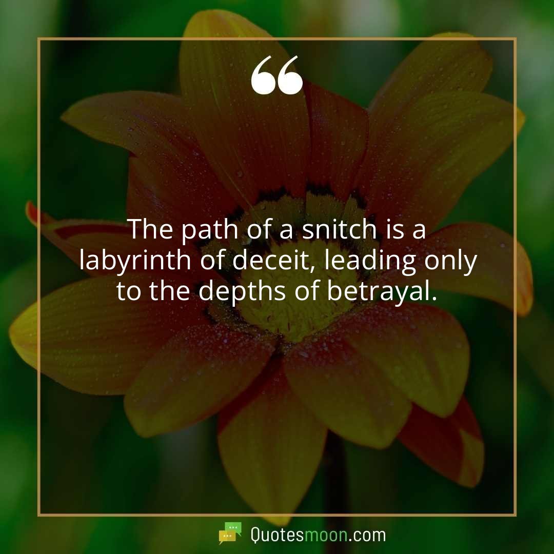 The path of a snitch is a labyrinth of deceit, leading only to the depths of betrayal.