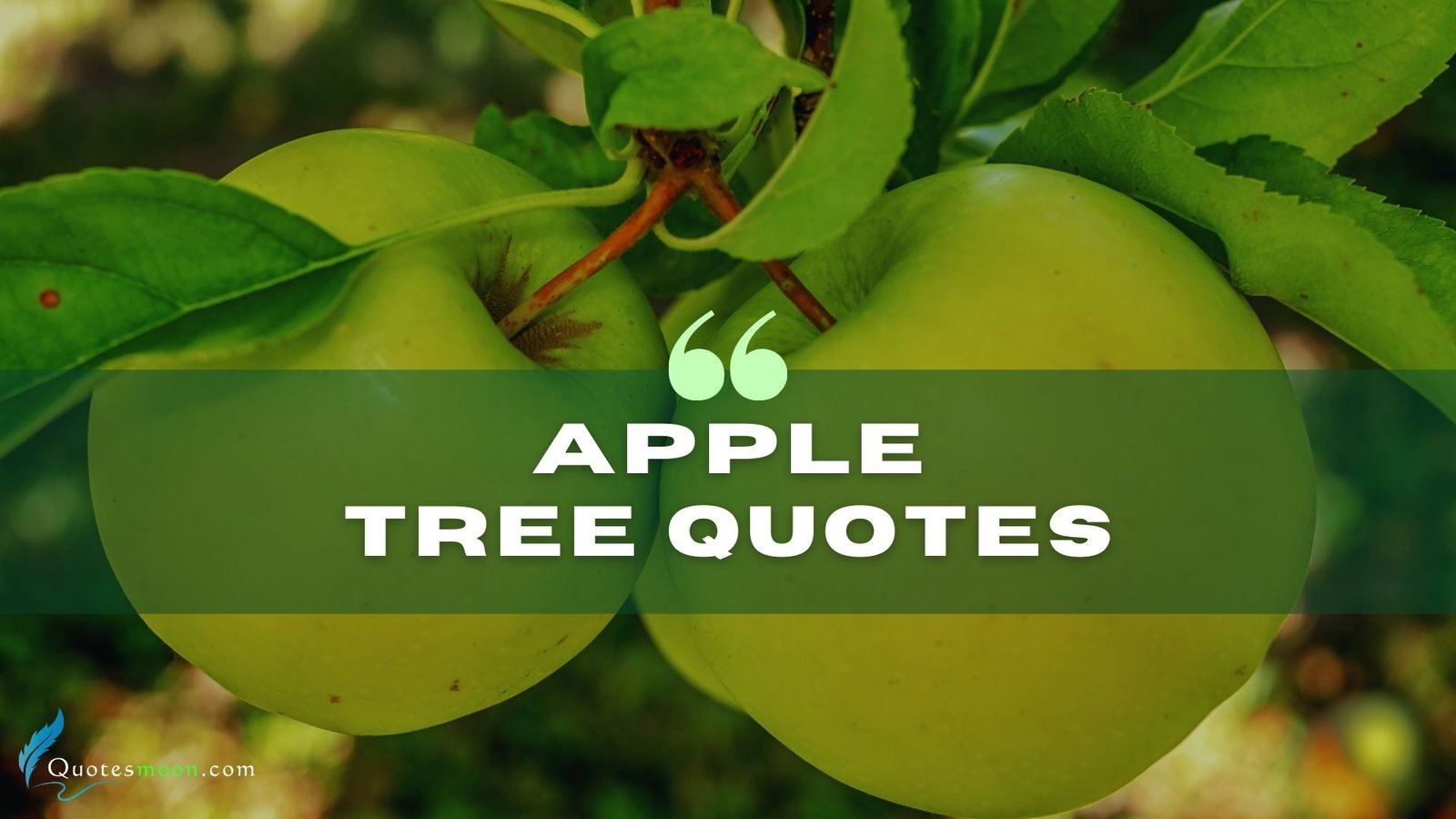 apple tree quotes