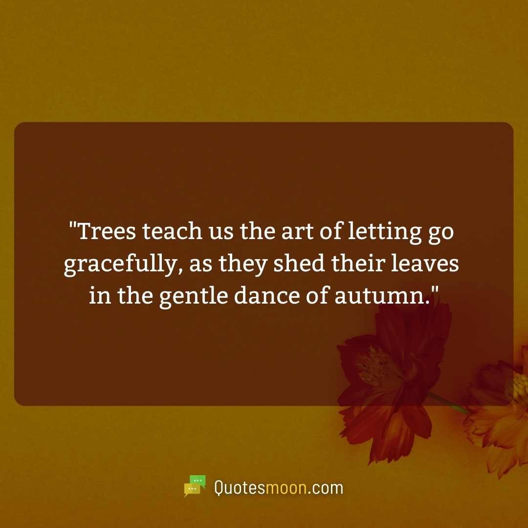 "Trees teach us the art of letting go gracefully, as they shed their leaves in the gentle dance of autumn."