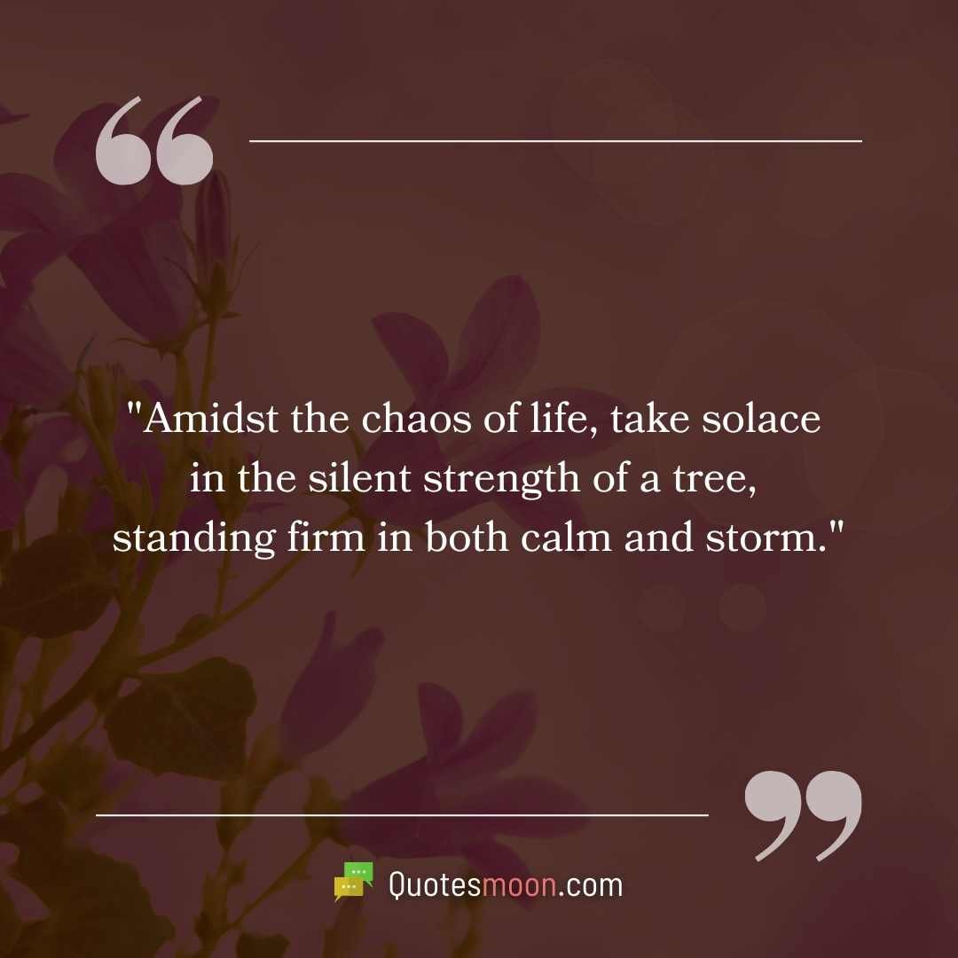 "Amidst the chaos of life, take solace in the silent strength of a tree, standing firm in both calm and storm."