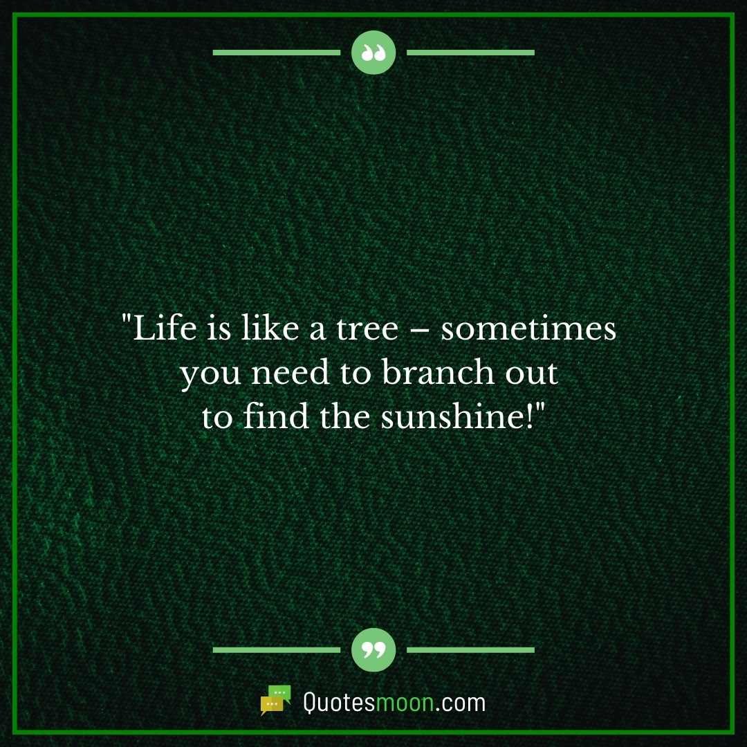 Funny Tree Quotes About Life