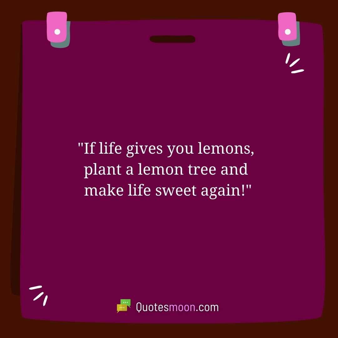 "If life gives you lemons, plant a lemon tree and make life sweet again!"