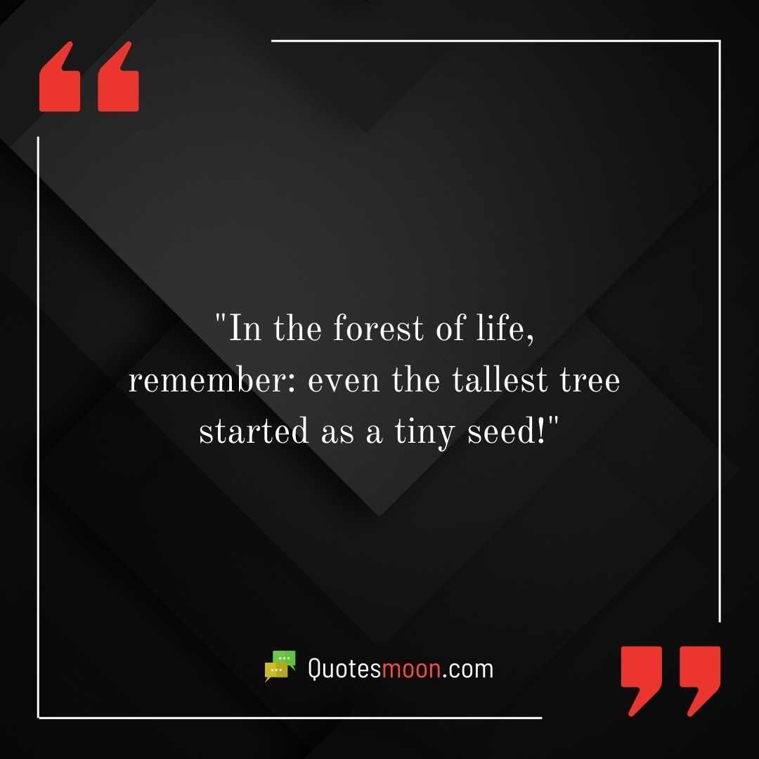 "In the forest of life, remember: even the tallest tree started as a tiny seed!"