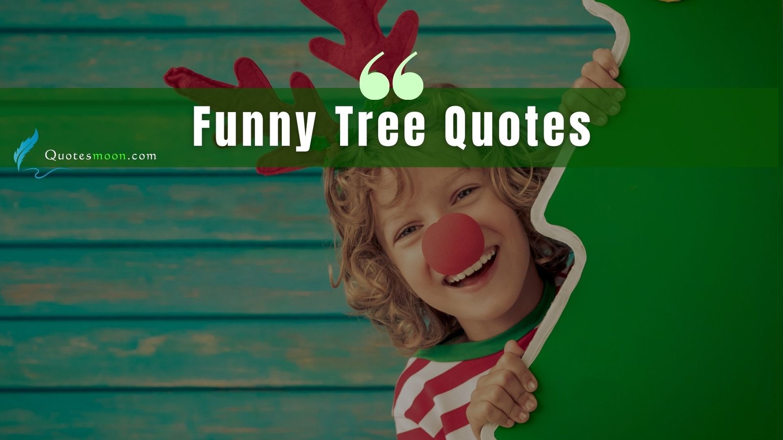funny tree quotes