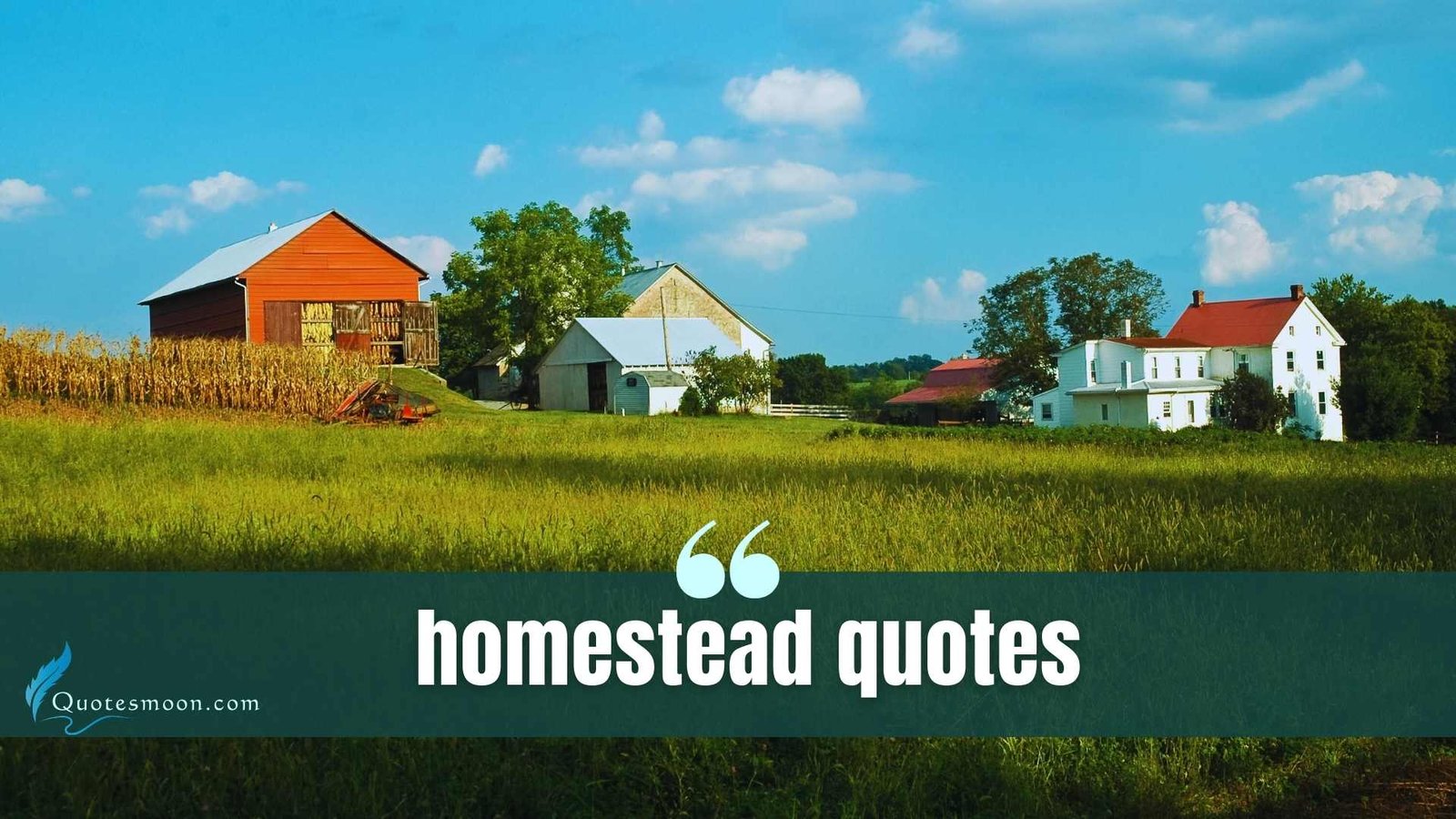 Homestead Quotes