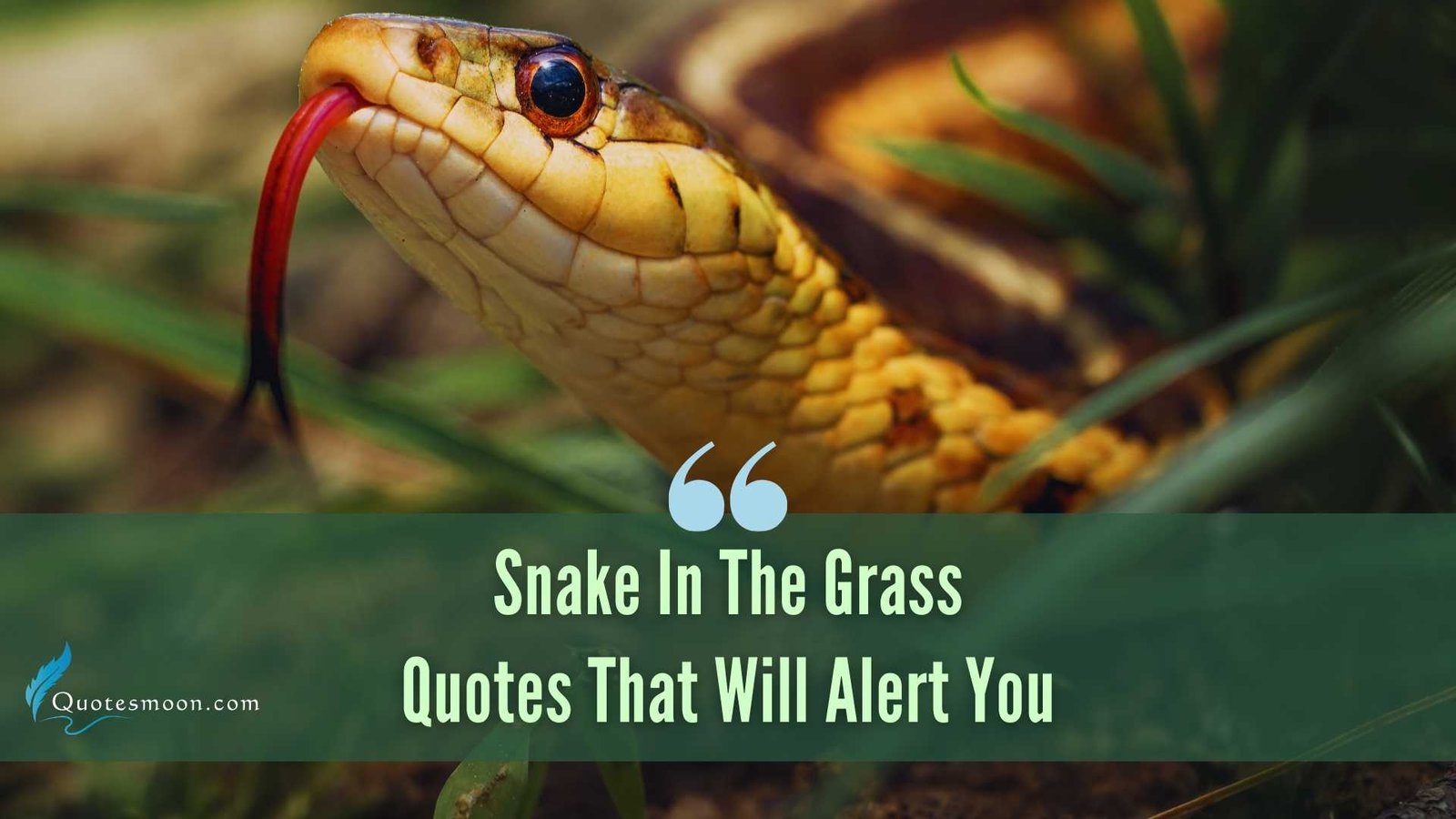 Snake In The Grass Quotes That Will Alert You