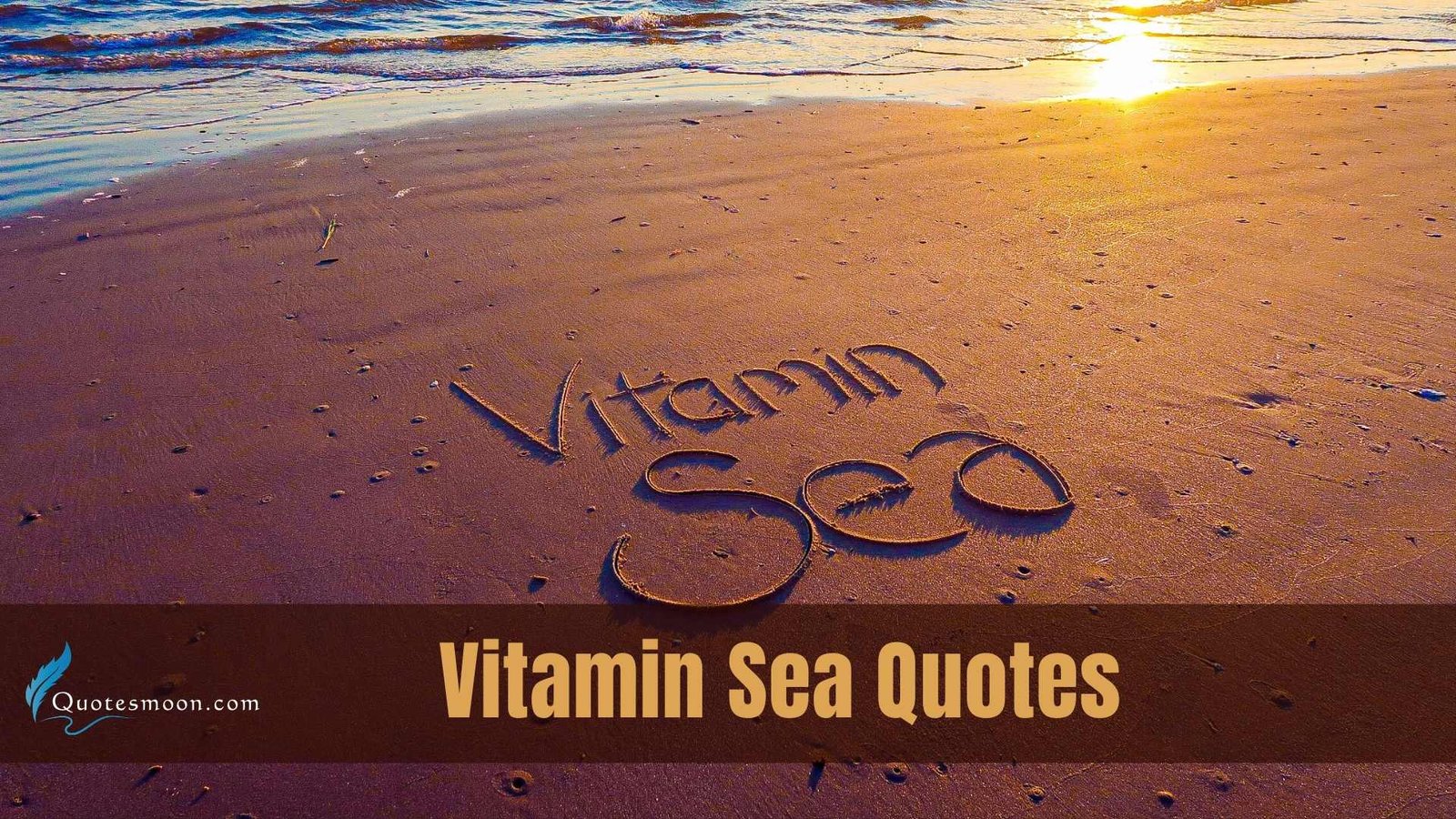 Vitamin Sea Quotes