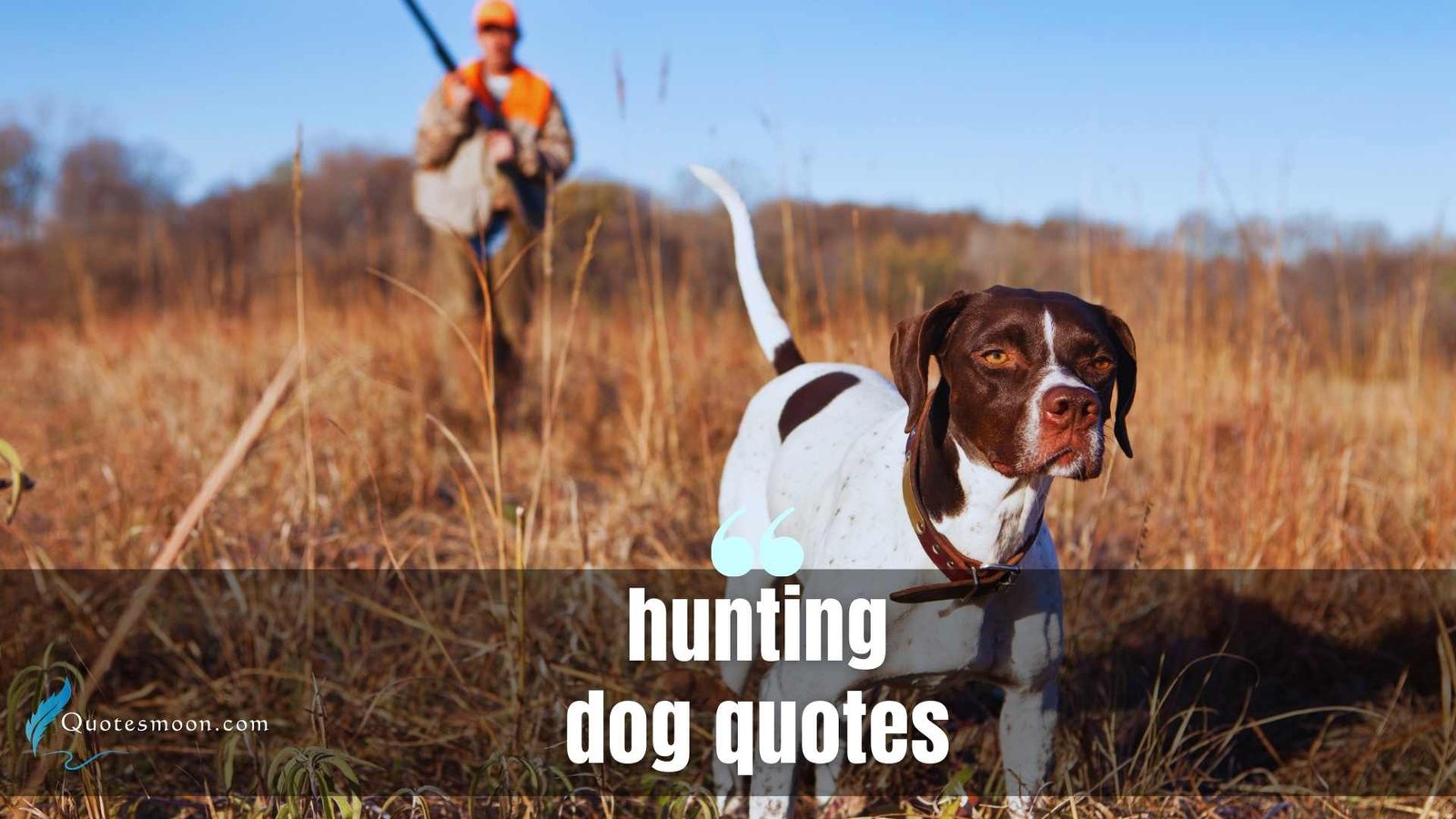 hunting dog quotes images