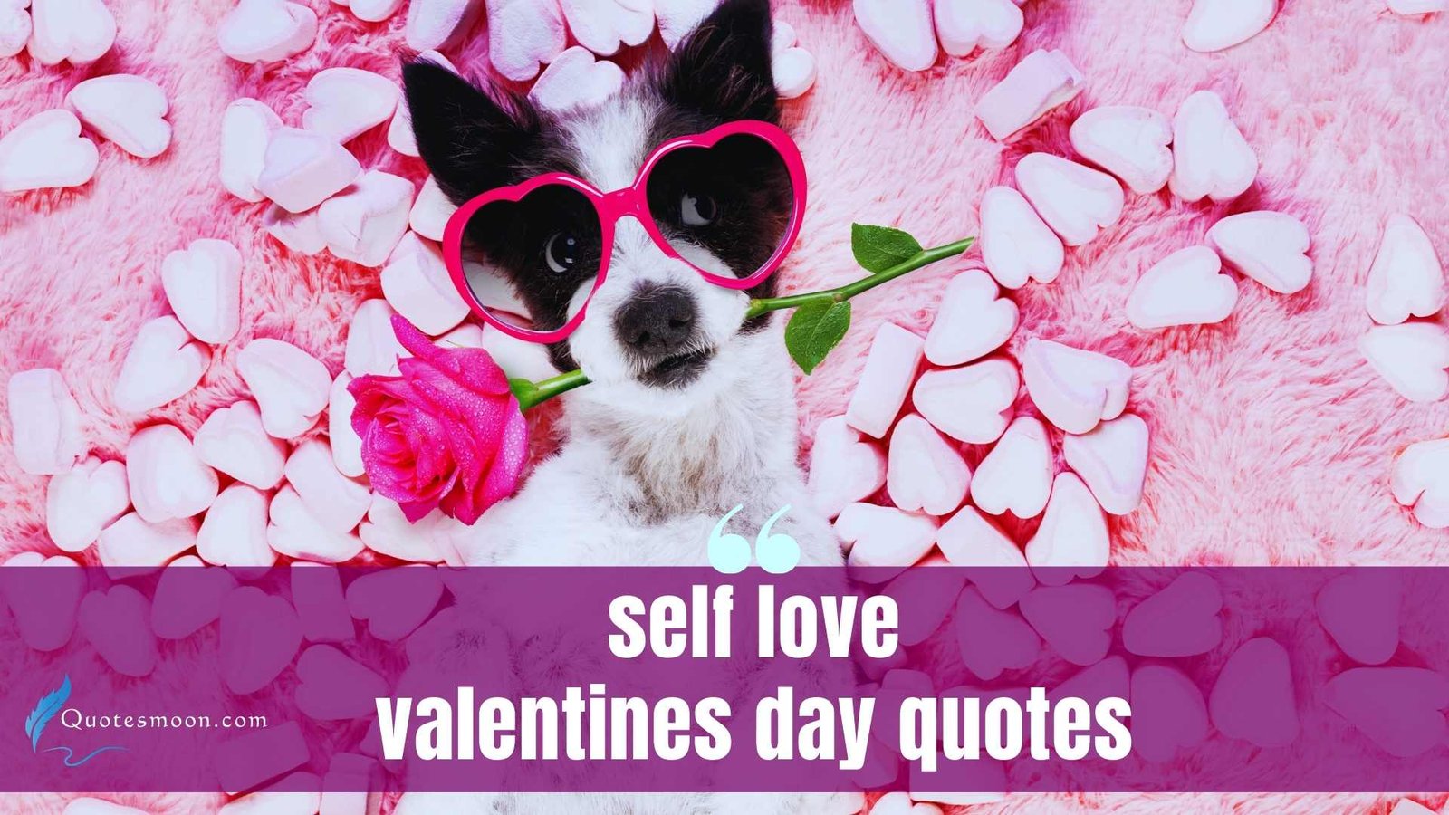 self love valentines day quotes images