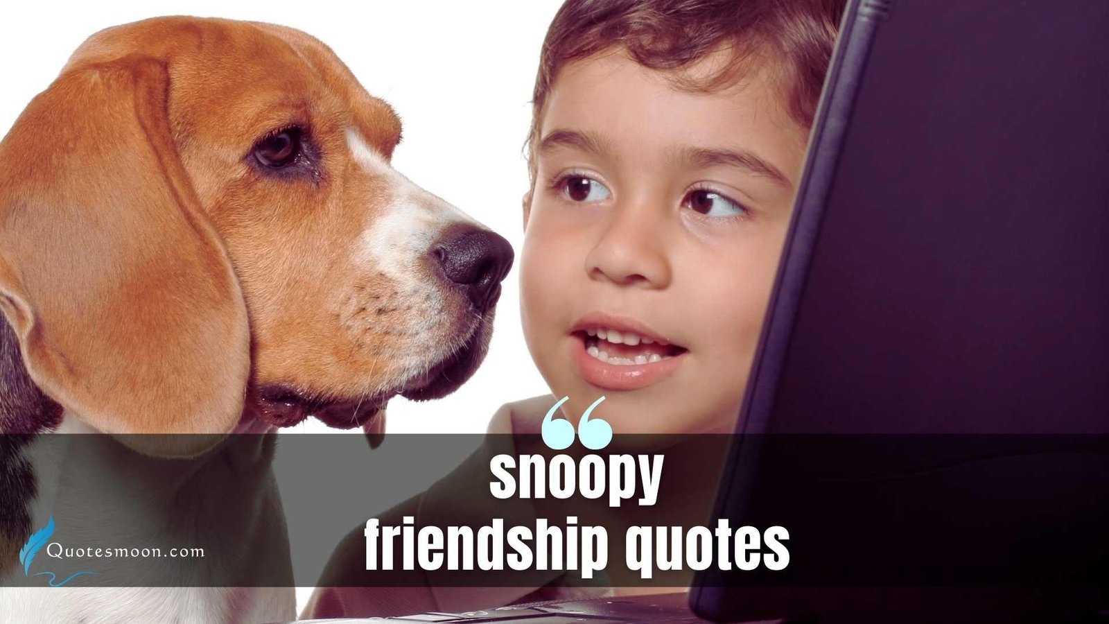 snoopy friendship quotes images